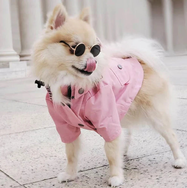 High Quality Waterproof Pet Dog Coat for Small Medium Large Dogs Windproof Jacket Dog Raincoat Dog Sport Hoodies Pet Clothes