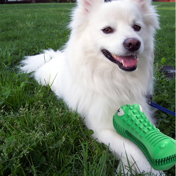 Dog Molar Tooth Cleaner Brushing Stick Dog Chew Toy Dogs Toothbrush Pet Toys Doggy Puppy Dental Care Dog Pet Traning Supplies
