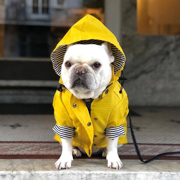 High Quality Waterproof Pet Dog Coat for Small Medium Large Dogs Windproof Jacket Dog Raincoat Dog Sport Hoodies Pet Clothes