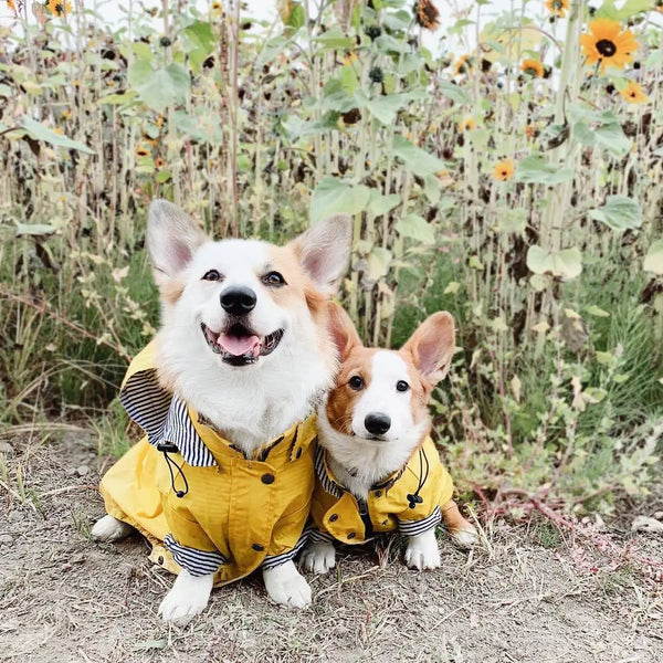 High Quality Waterproof Pet Dog Coat for Small Medium Large Dogs Windproof Jacket Dog Raincoat Dog Sport Hoodies Pet Clothes