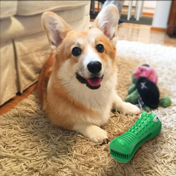 Dog Molar Tooth Cleaner Brushing Stick Dog Chew Toy Dogs Toothbrush Pet Toys Doggy Puppy Dental Care Dog Pet Traning Supplies