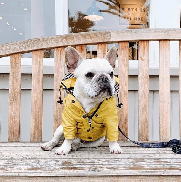 High Quality Waterproof Pet Dog Coat for Small Medium Large Dogs Windproof Jacket Dog Raincoat Dog Sport Hoodies Pet Clothes