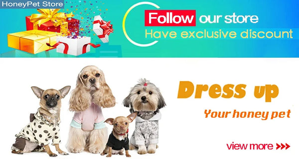 High Quality Waterproof Pet Dog Coat for Small Medium Large Dogs Windproof Jacket Dog Raincoat Dog Sport Hoodies Pet Clothes