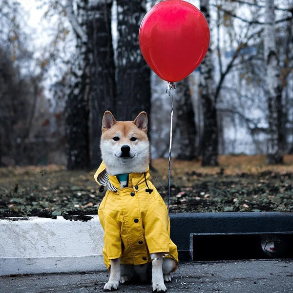 High Quality Waterproof Pet Dog Coat for Small Medium Large Dogs Windproof Jacket Dog Raincoat Dog Sport Hoodies Pet Clothes