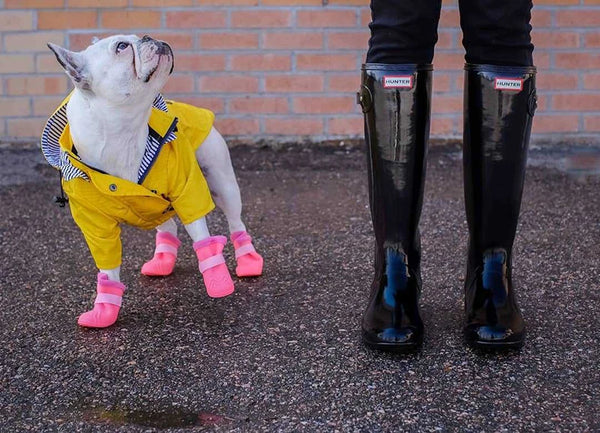 High Quality Waterproof Pet Dog Coat for Small Medium Large Dogs Windproof Jacket Dog Raincoat Dog Sport Hoodies Pet Clothes
