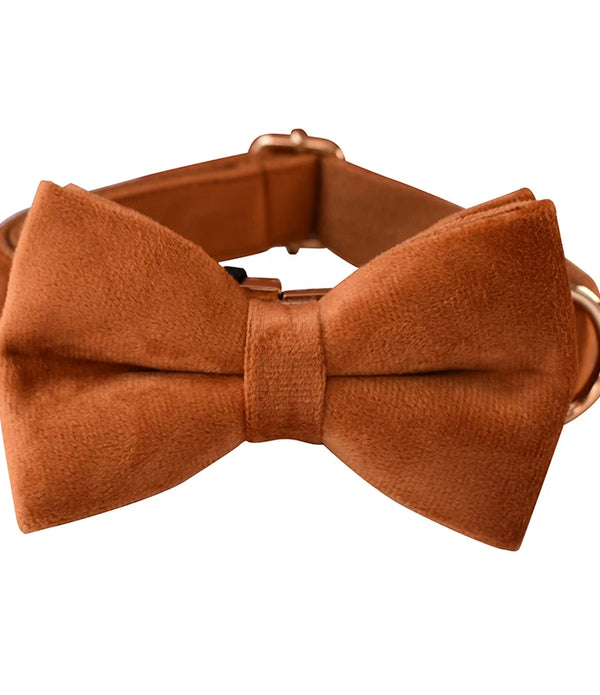 Pet Adjustable Dog Collar Puppy Middle Large Soft Ribbon Buckle Neck Collar Fruit For Pitbull Bull Terrier Flannelette 21