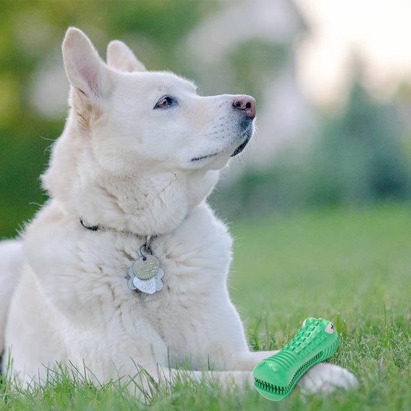 Dog Molar Tooth Cleaner Brushing Stick Dog Chew Toy Dogs Toothbrush Pet Toys Doggy Puppy Dental Care Dog Pet Traning Supplies