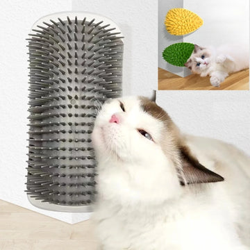 Brushes