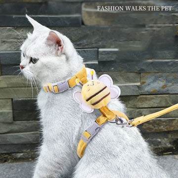 Harness