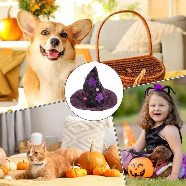 Pet Halloween Costume Wizard or Witch Costume Cloak Witch Hat Halloween For S/M Cats or Dogs