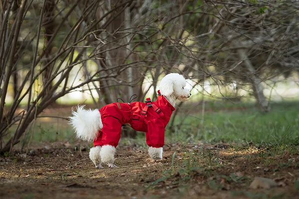 Dog Raincoat with Harness Waterproof Pet Jumpsuit for Small Medium Dogs Adjustable Reflective Puppy Rain Coat Chihuahua Rainwear