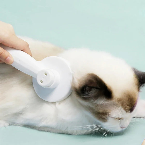 1Pc Cat Comb Hair Removal Pet Magic Comb One Click Floating Hair Removal Cat Dog Universal Cleaning Beauty Supplies