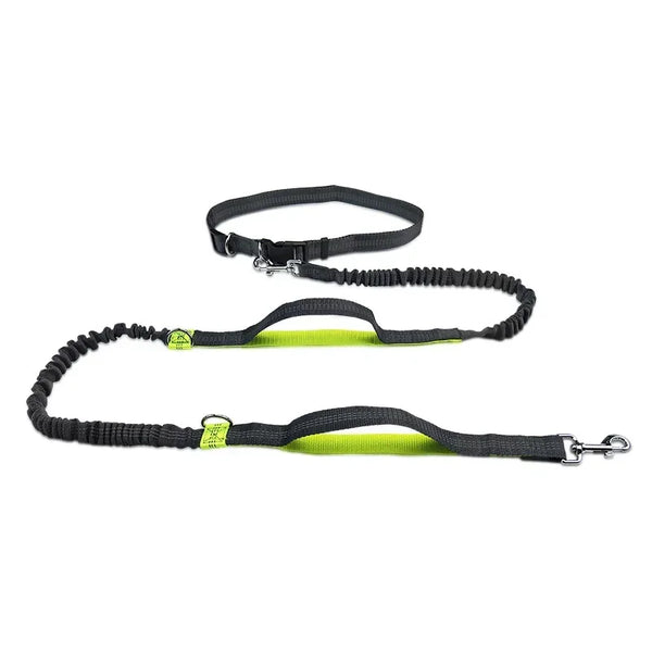 Retractable Hands Free Dog Leash for Running Judge Leash Large Dog Pet Supplies