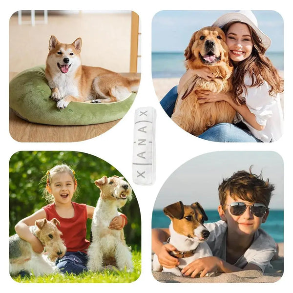 Squeaky Dog Toy Unique Fun Dog Teething Toys Interactive Dog Sounding Toys Pet Plush Toys For Dog Teething And Chewing