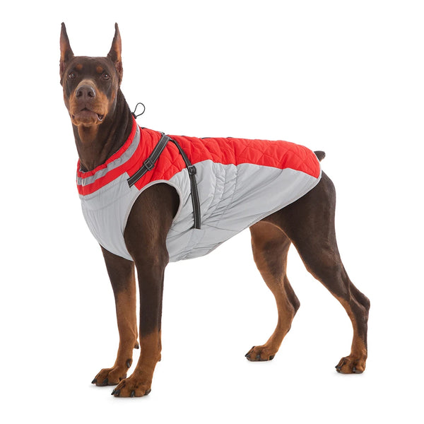 Waterproof Pet Jacket With Harness Winter Warm Dog Clothes for Small Large Dogs Labrador Coat Chihuahua French Bulldog Outfits