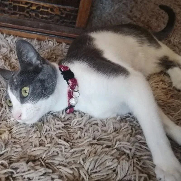 GLITTER VELVET Cat Collar  with Bell Cat Face Collar Safety Buckle