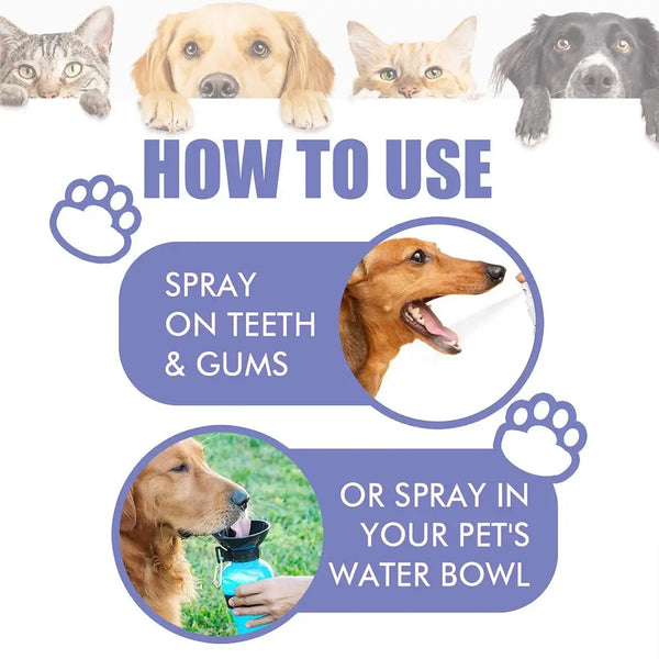 60ml Pet Spray Dog Oral Care Bad Breath Teeth Cleaning Freshener Pet Pet Remover Deodorant Supply Plaque Breath Care L2t8