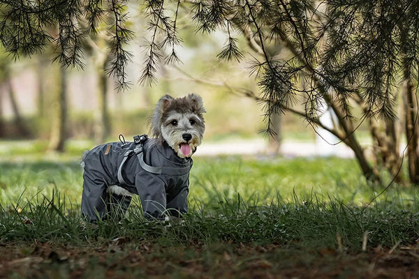 Dog Raincoat with Harness Waterproof Pet Jumpsuit for Small Medium Dogs Adjustable Reflective Puppy Rain Coat Chihuahua Rainwear