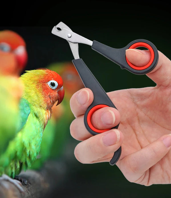 Pet Nail Clippers Cutter Parrot Nail Trimmer Scissors for Dogs Cats Birds Guinea Pig Animal Claws Paw Cutter Bird Parrot Shear