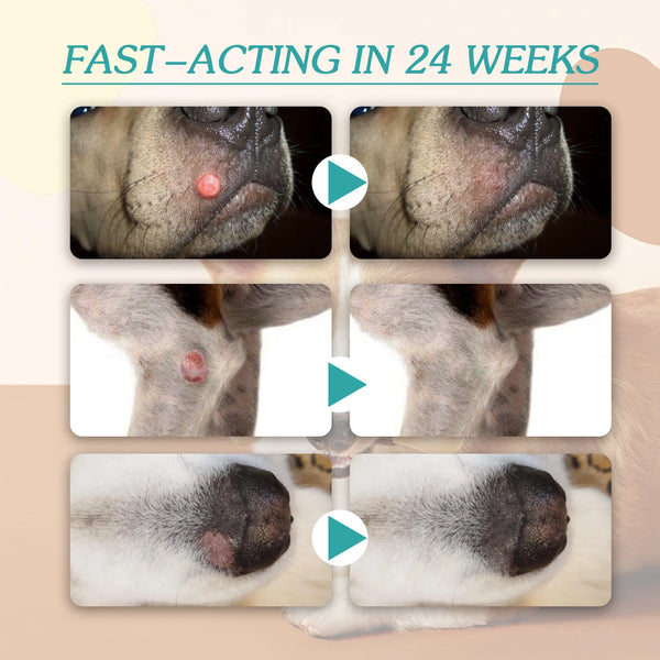 Yegbong Pet Cleaning And Desalinating Nevi Meat Granules Chicken Eye Skin Care Wart Treatment Liquid