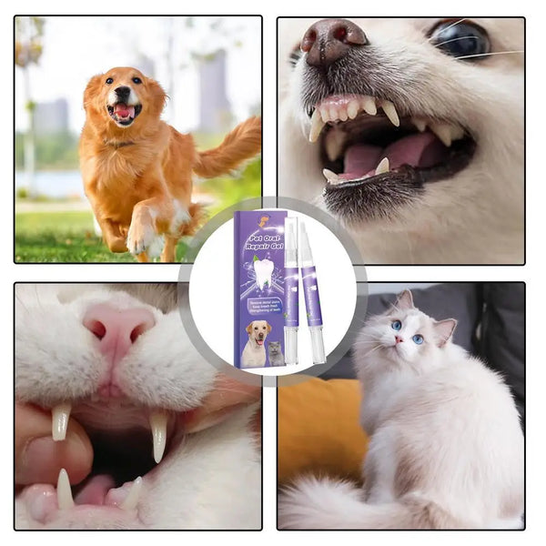 1/2/3PCS Dog Cat Pet Teeth Cleaning Pen Brightening Grooming Toothbrush Dental Calculus Safe Tartar Remove Tool Mouth Fresh