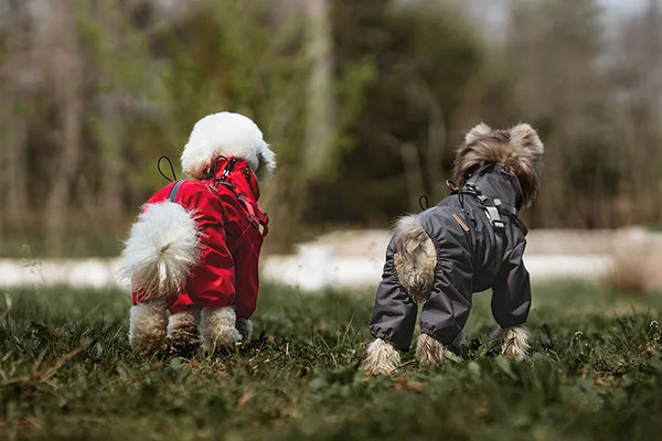 Dog Raincoat with Harness Waterproof Pet Jumpsuit for Small Medium Dogs Adjustable Reflective Puppy Rain Coat Chihuahua Rainwear