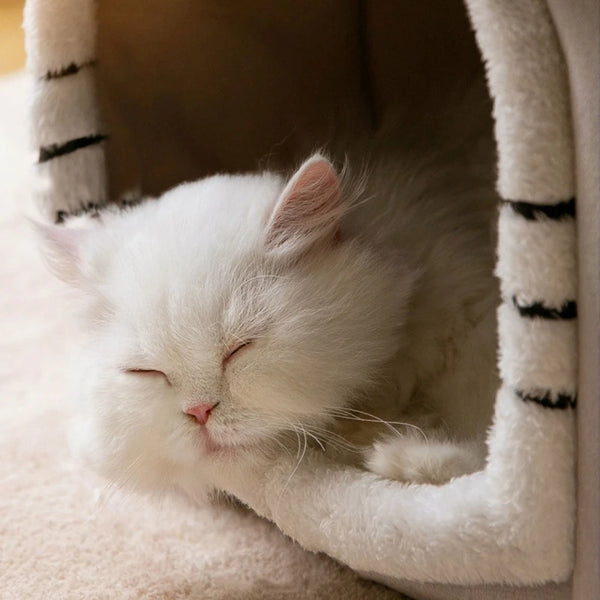 Breathable Warm Pet Bed House Detachable Washable Soft Cushions Kennel for Small Dog Cats Pet Supplies