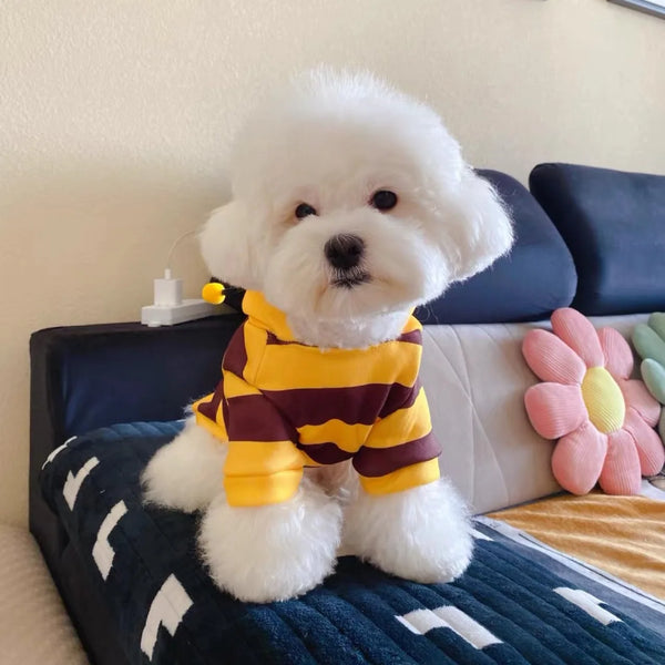 1PCS Dog Clothes For Autumn And Winter Schnauzer Teddy Small Puppy Cat Pet Hoodie Bee Transformation Suit