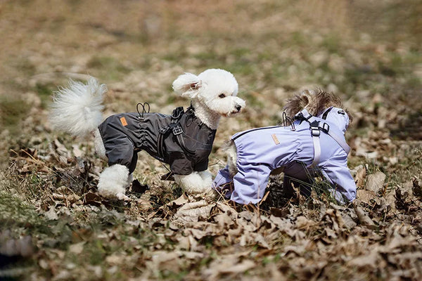 Dog Raincoat with Harness Waterproof Pet Jumpsuit for Small Medium Dogs Adjustable Reflective Puppy Rain Coat Chihuahua Rainwear