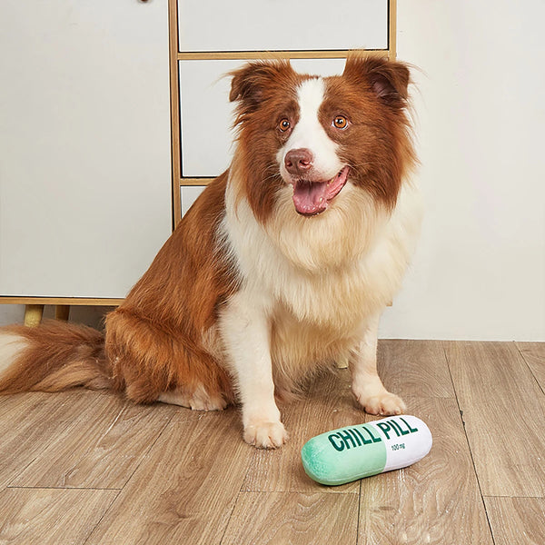 CHILL Pill-Shaped Dog Toy with Squeaker - Durable, Pet Play and Dental Health