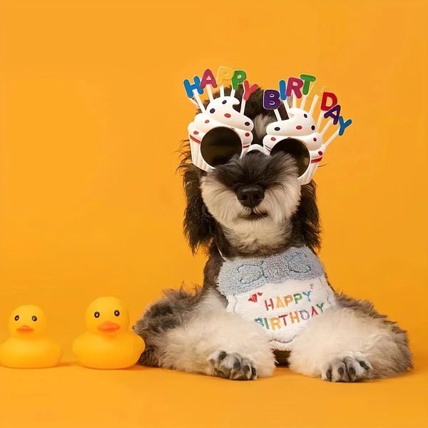 Pet's Birthday Special with this Adorable Dog, Cat Birthday Hat & Bandana Set!