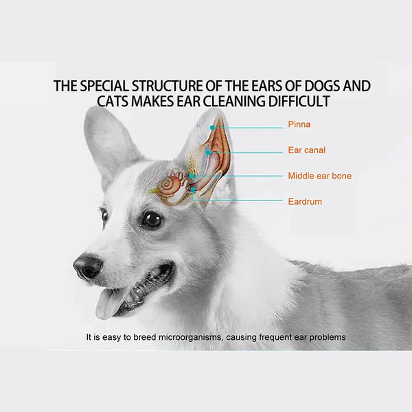 50pcs Pet Ear Cleaning Finger Cotscat And Dog Ear Mite And Earwax Care Ear Canal Cleaning Finger Cots Disposable Hygiene Gloves