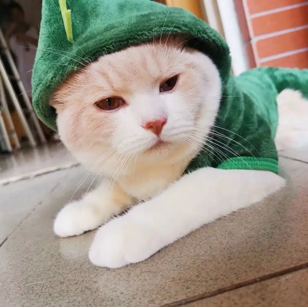 Winter Warm Dog Clothes Pet Clothes for Small Medium Dogs Chihuahua Teddy Puppy Cat Dinosaur Outfit Pet Dog Hoodies
