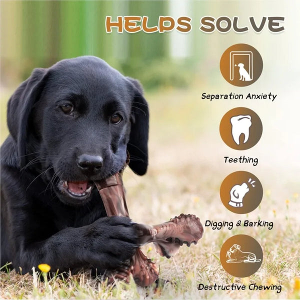 Chew Toy For Aggressive Dogs, Virtually Indestructible Nylon Bones, Tough Teeth Cleaning Toy For Small, Medium Or Large Dogs