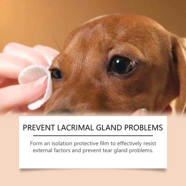 Yegbong Pet Tear Scar Cleaning Cream Gently Cleanses Pet Cats Dogs' Tear Stains, Caring For Eye Care And Cleaning Cream