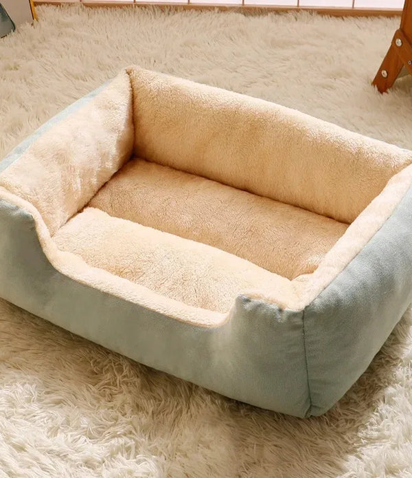 Bed for Cats Pet Products Cushions Kitten Goods Accessories Dog All Houses Supplies Things Accessory Habitats Basket House Beds