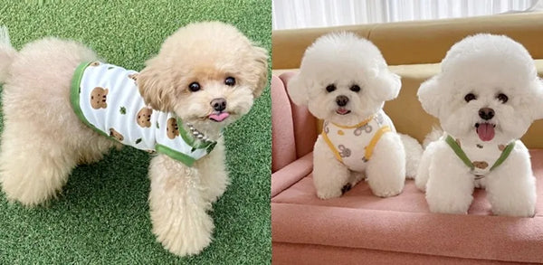 Cartoon Korean Style Dog Clothes Puppy Yorkshire Chihuahua Vest T-shirt Pets Cat Costume Supplies Small Dogs Gift Thin and light