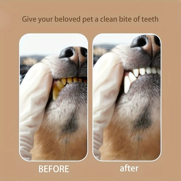 3-Piece Double-Headed Pet teeth Cleaning Kit for Dogs, Tartar & Plaque Remover Tools, Metal tooth Care Set for Oral Hygiene