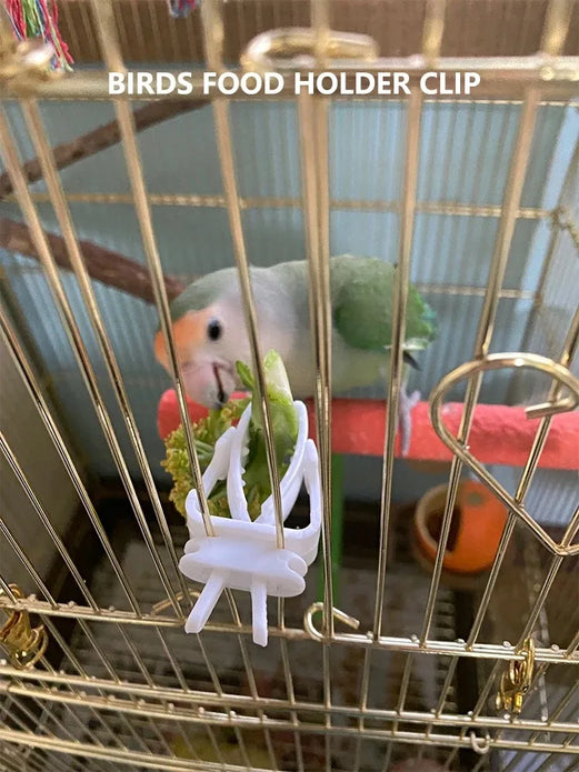Cute Small Pet Bird Food Holder Parrot Fruits Vegetables Clip Cuttlefish Bone Feeder Device Clamp Bird Cage Accessories Oiseaux
