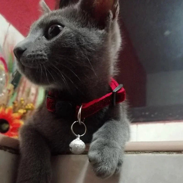 GLITTER VELVET Cat Collar  with Bell Cat Face Collar Safety Buckle