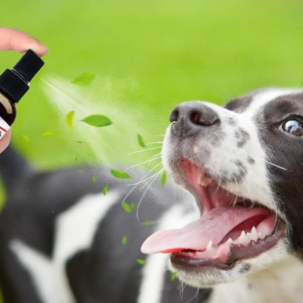 30ml Pet Tooth Cleaning Spray Dogs Remove Bad Breath Freshener Cats Oral Cleaning Dental Care Deodorization Spray Whitens Teeth