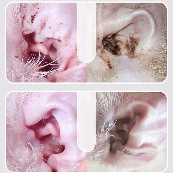Cat Dog Ear Cleaner 60ml Cleaning Dog Cat Ear Liquid Natural Home And Travel Use Daily Pet Skin Care Ear Stain Removal Liquid