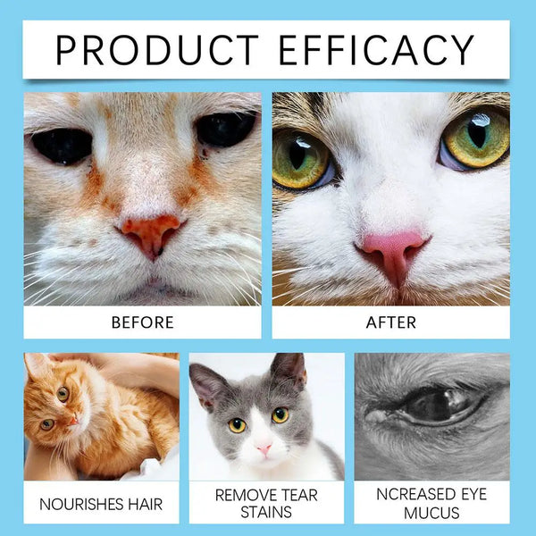 Pet Ear Cleaning Wipes Finger Wipes Ear Mite Removal Cat And Dog Care Wipes Pet Cleaning Products