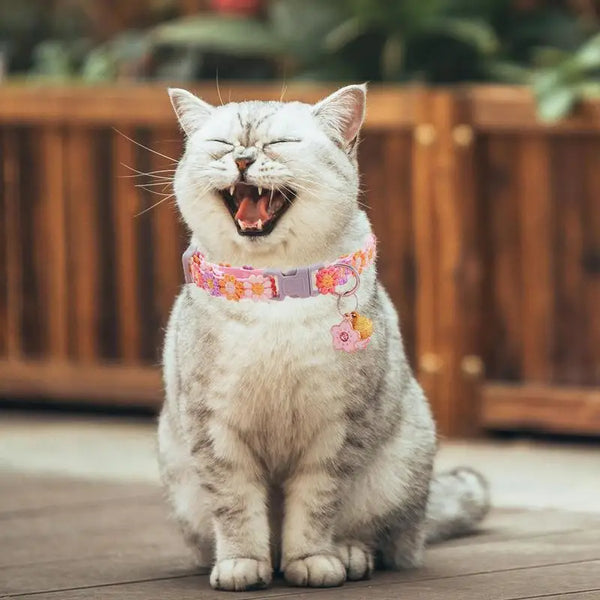 Kitten Collar Breakaway Adjustable Dog Collar with Bell Pet Supplies Cat Accessories Cute Kitten Costume Neck Decor for Puppy