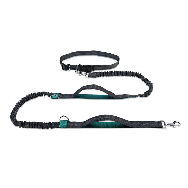 Retractable Hands Free Dog Leash for Running Judge Leash Large Dog Pet Supplies