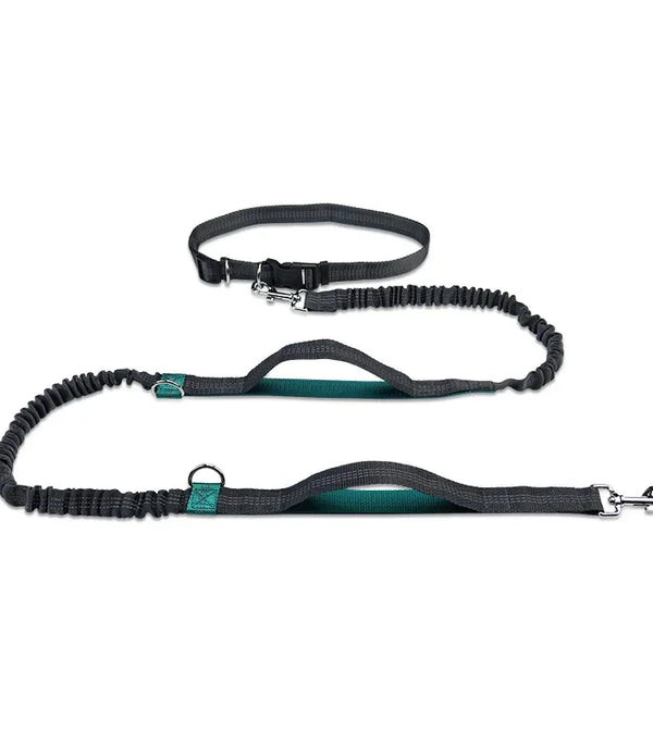 Retractable Hands Free Dog Leash for Running Judge Leash Large Dog Pet Supplies