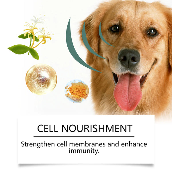 Tear tablets for dogs Gentle cleaning pet dog tear marks eye dirt eye care cleaning plate