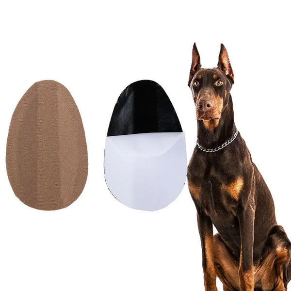 Pinscher Dog Correct Ear Erector Pet Ear Correction Ear Care Tools Dog Ear Stand Up Stickers Dog Ear Erector Dog Supplies
