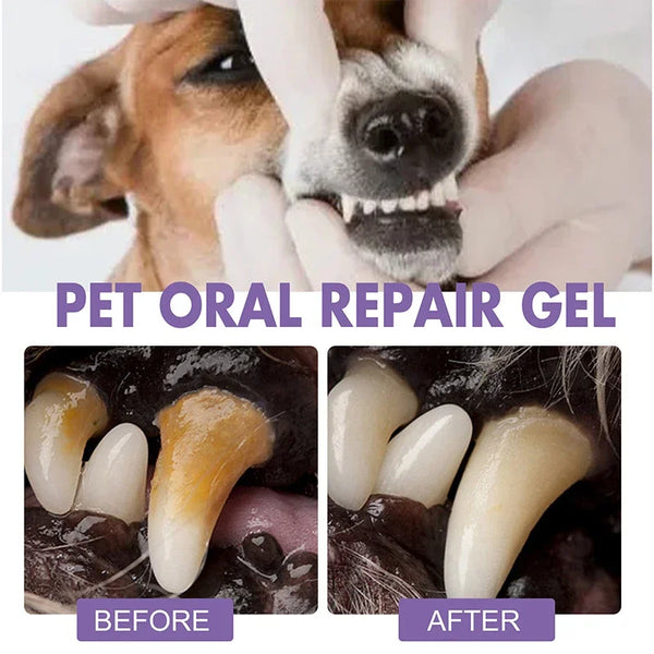 1/2PCS Pet Teeth Cleaning Tools Pet Grooming Toothbrush Cleaning Kit Tartar Remover Tartar Scraper Dog Dental Stain Cleaning Pen