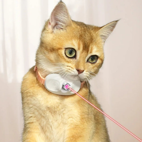 Smart Laser Cat-teasing Collar Laser Rechargeable Auto Infrared Interactive Pet Kitten Toys for Relieve Anxiety Pet Supplies